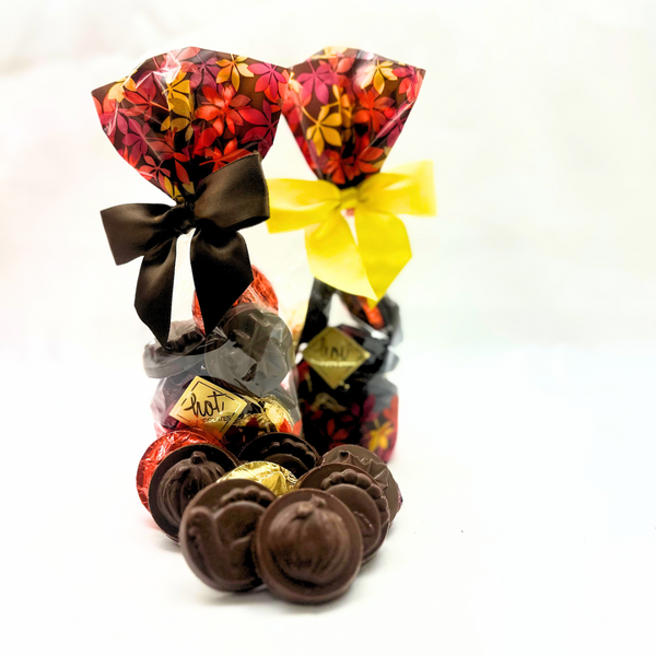 A variety of fall-inspired solid chocolate coins, some wrapped in red and yellow foils, set against a white background.