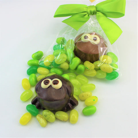 Packaged chocolate treats shaped like frog, surrounded by green jelly beans, with a green bow on top.