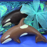A close up of 2 chocolate killer whales (Orca) made from chocolate with white markings hand painted on, one is packaged in a box with a pretty blue bow.