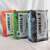 3 brightly coloured bags of artisan Italian roast coffee beans from Caffe Umbria.