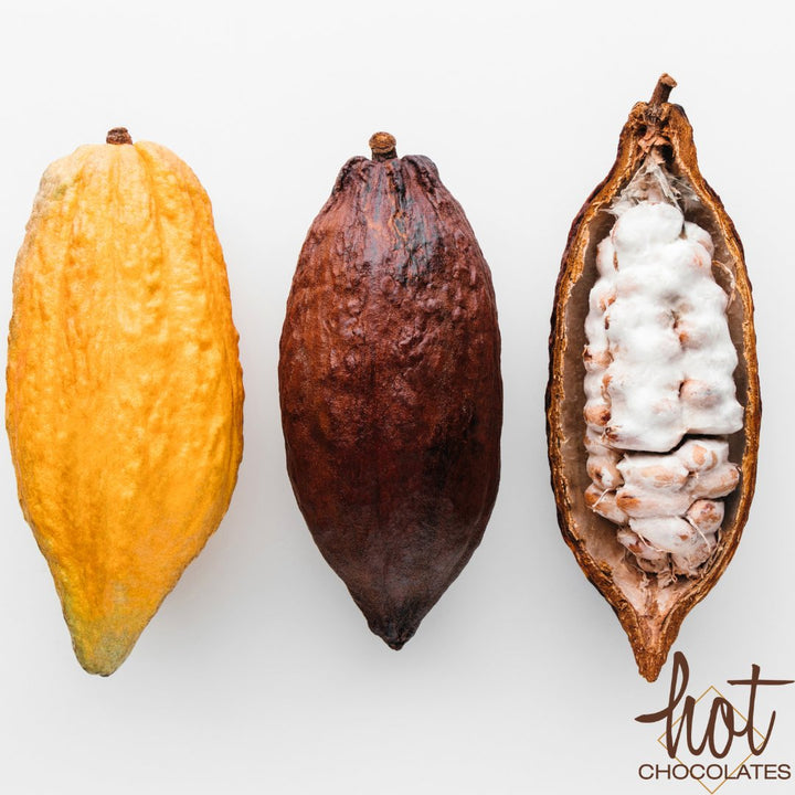 Artisan handmade chocolates, truffles and gifts from Hot Chocolates in Courtenay BC